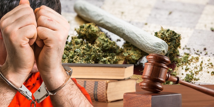 Drug Possession Charges Facts: Specialized Drug Courts