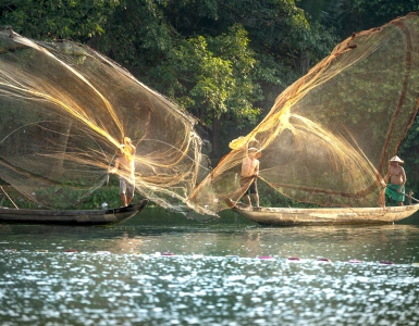 fish farmers